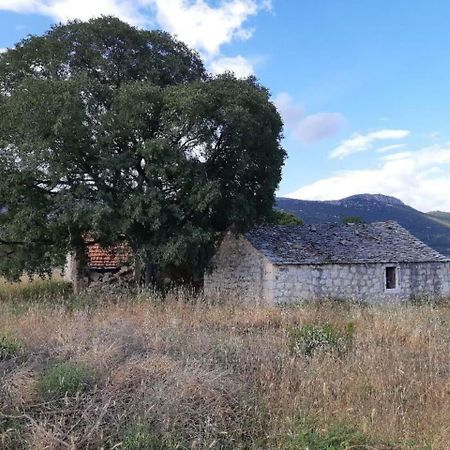 The Globetrotter'S Residence Kastel Novi Exterior photo